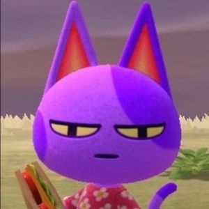 Meet your Posher, Rory